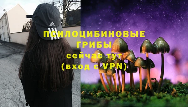 ALPHA-PVP Алзамай