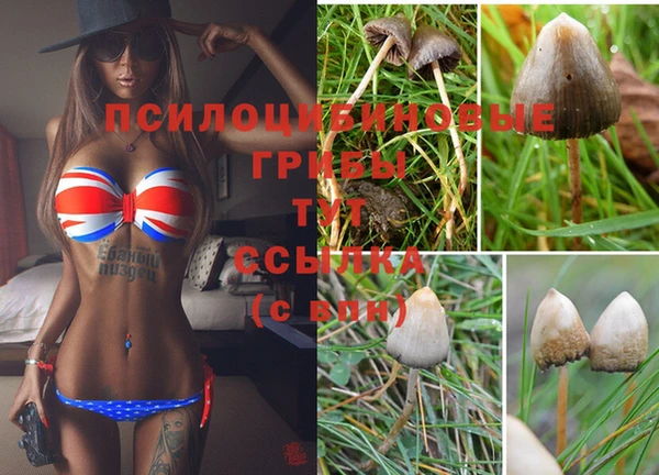 дистиллят марихуана Пересвет